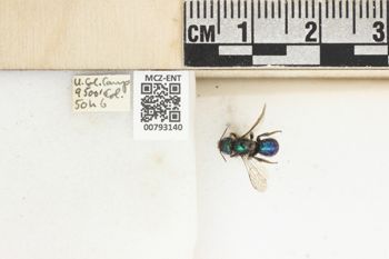 Media type: image;   Entomology 793140 Aspect: Labels
